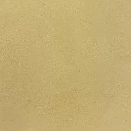 Sơn vôi nhập khẩu LP08 Blond