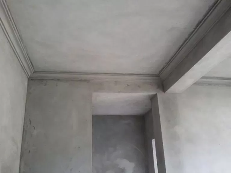 Sau khi trát tường có cần tưới nước không? Hướng dẫn bảo dưỡng đúng kỹ thuật